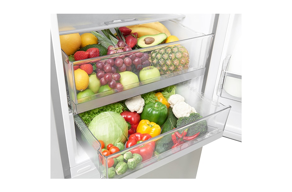 LG Total No Frost hladnjak sa zamrzivačem u donjem dijelu i 10 godišnjim jamstvom, GBB59NSGFB, thumbnail 8